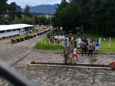 Photos of Parque Benito Juarez