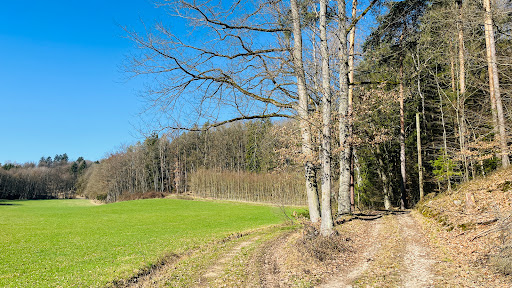 Friedhof Allmannsdorf - Thumbnail