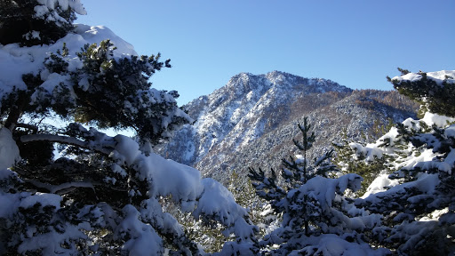 Monte Arpon - Thumbnail