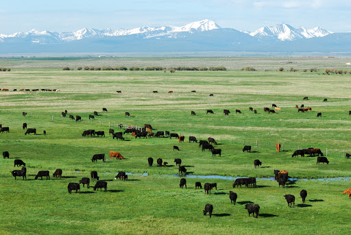 Clearwater Montana Properties, Libby - Thumbnail