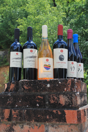 Sughero.wine - Visual