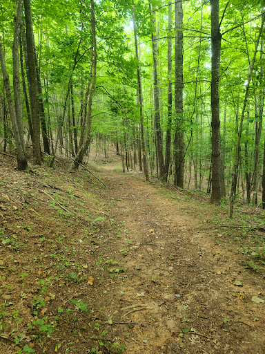 Rendezvous Mountain State Park - Thumbnail