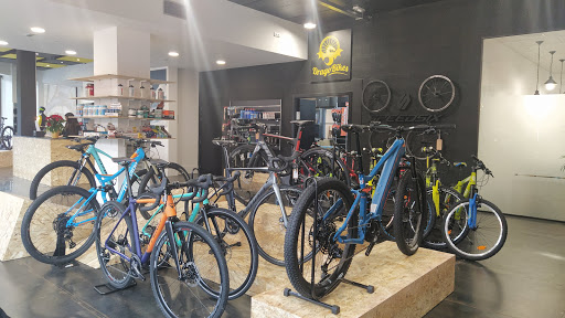 DRAGOBIKES - Thumbnail