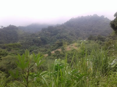 Photos of El Campano