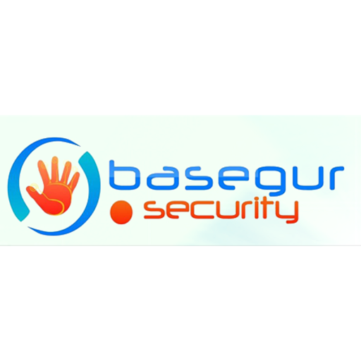 Basegur Security - Visual