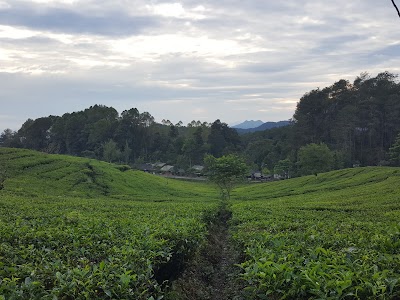 Photos of Pintu Gerbang Wisata Alam Tangkuban Perahu