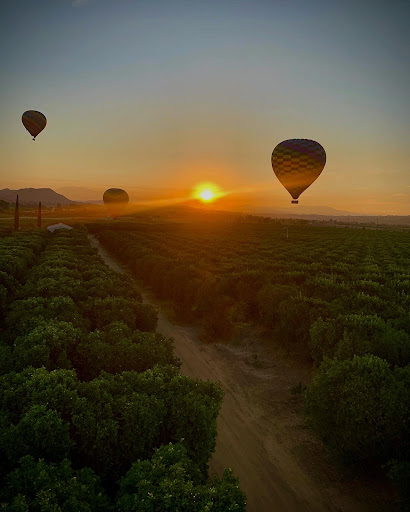 California Dreamin' Balloon Adventures - Thumbnail