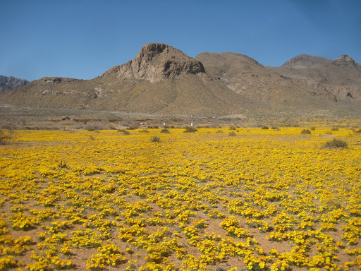Castner Range National Monument