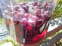 絵本カフェカシュカシュ