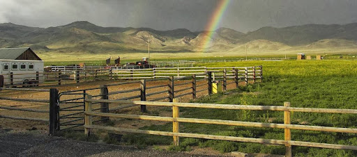 Lazy W Ranch - Hay Sales - United States