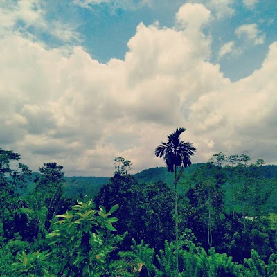 Photos of Digalena Monestry