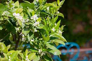 Photo n°32 de Casa Belle à Sérignan (Restaurant)