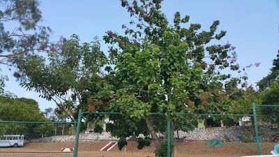 Photos of Police Station, Headquarters Trincomalee