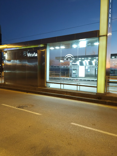 Vicuña - Visual