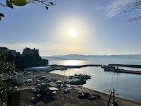 サラヤアクアカルチャー株式会社 陸上養殖研究センター（株）日本陸養 種苗栽培センター