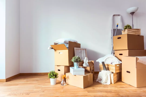 ProGrade Movers - Visual