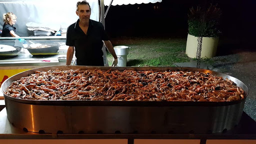 PAELLA SANZ - Thumbnail
