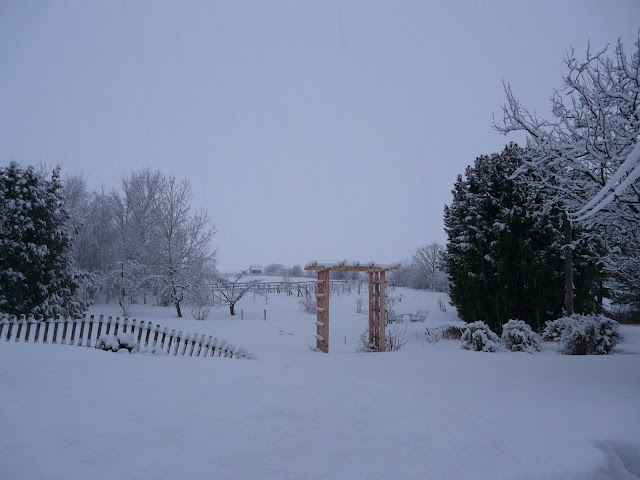 Auberge / B & B Dans les bras de Morphée - Gîte Île d'Orléans by null