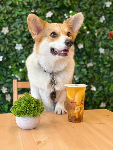 Yifang Taiwan Fruit Tea - Koreatown by null