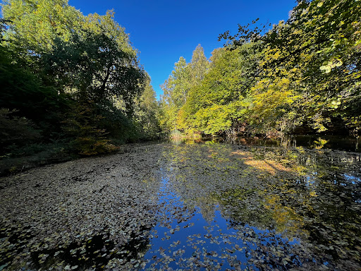 Herzbachweiher - Thumbnail