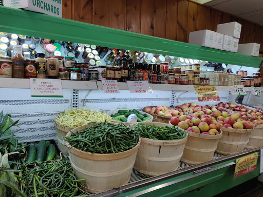 MacMillan Orchards - Visual