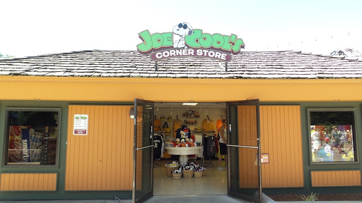 Joe Cool's Corner Store