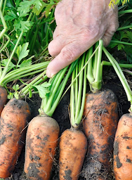 Photo n°38 de Jour Lyon Thomassin à Lyon (Saladerie)