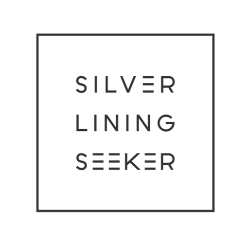 Silver Lining Seekers - Visual