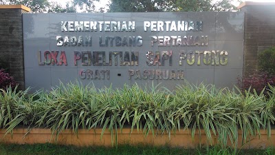Photos of Beef Cattle Research