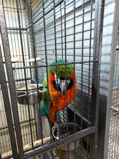 ZOO Soliera - Visual