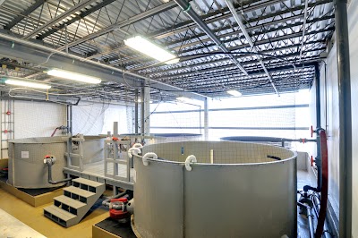 Photos of National Marine Life Center