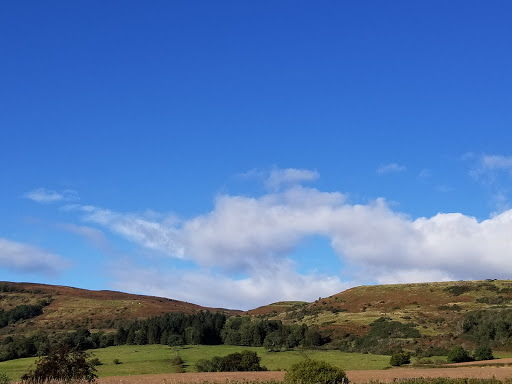 Old Dalnottar Cemetery - Thumbnail