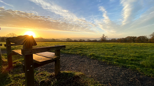 Walshes Park - Thumbnail