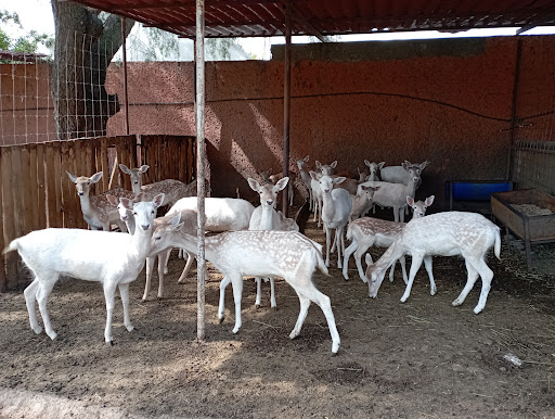 Tepayaxin Clínica Veterinaria
