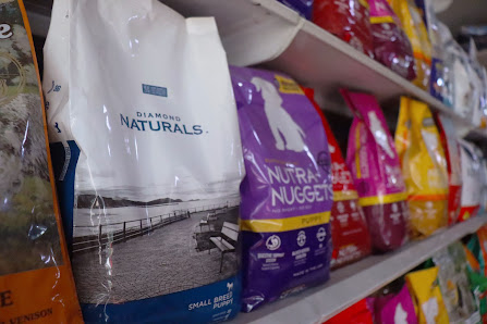 Fotografía de Sean | Veterinaria en Cúcuta Del propietario