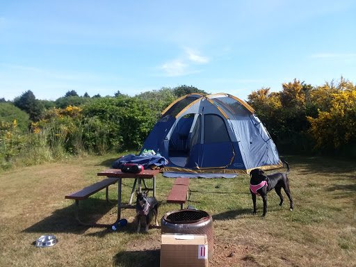 Screamin' Eagle Campground - Visual