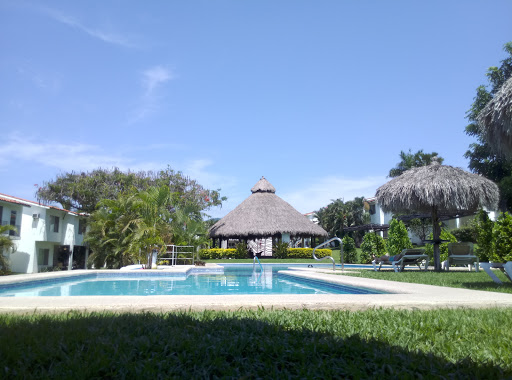 Vista Pelicanos