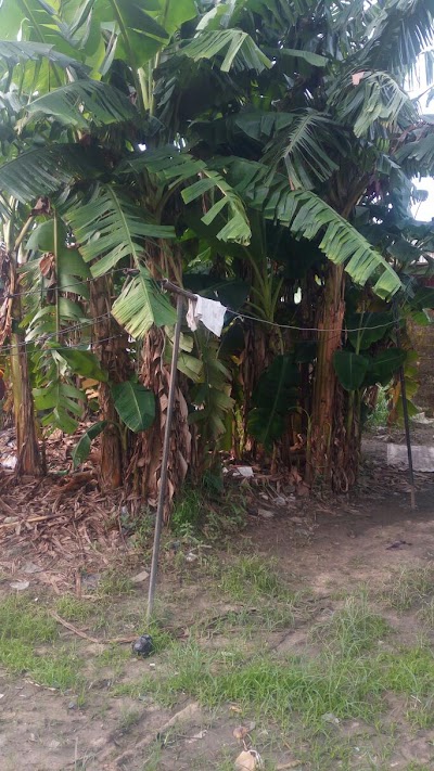 Photos of Ubeji