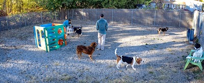 Photos of Four Paws Pet Resort
