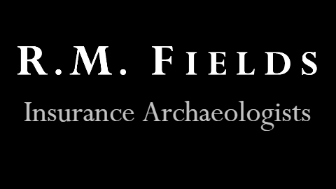 R.M Fields - Visual