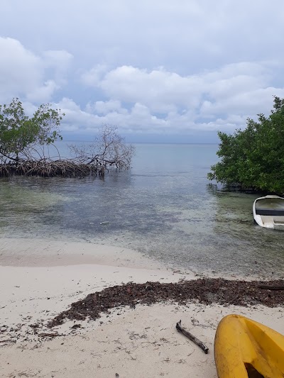 Photos of Scuba Cartagena