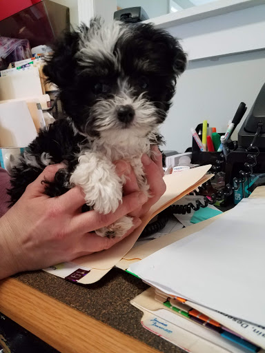 Baxley Animal Hospital - Thumbnail