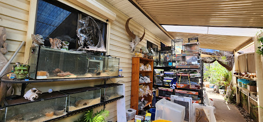 Camo's Reptiles - Thumbnail