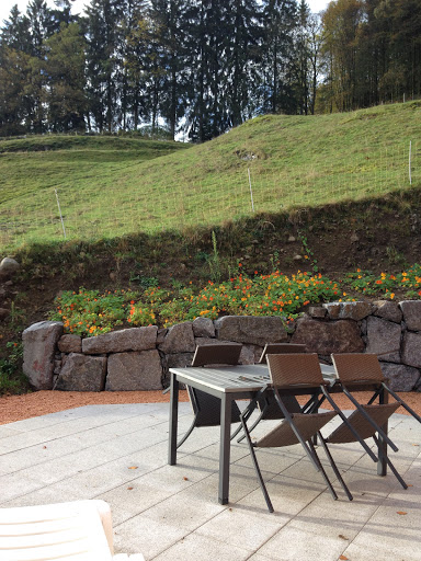 Photo de Chalet Hautes Vosges Le Meixzoté Sauna privé