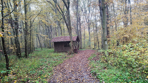 Eyringsberg - Visual