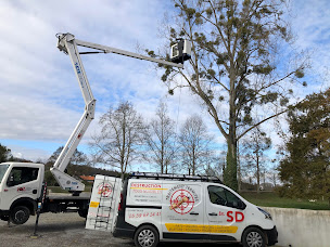 Photo n°12 de SD Traitement Termites à Saint-Palais (Service de destruction)