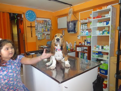 Photos of Master Pet Veterinary Clinic