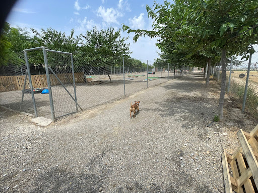 Hotel para perros La Casuca del Perro
