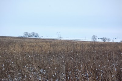 Photos of Sangamon River Forest Preserve