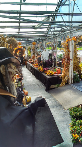 Pires Flower Basket, Inc. - Thumbnail